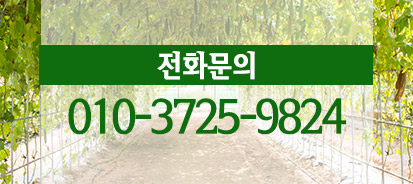 가운데이미지